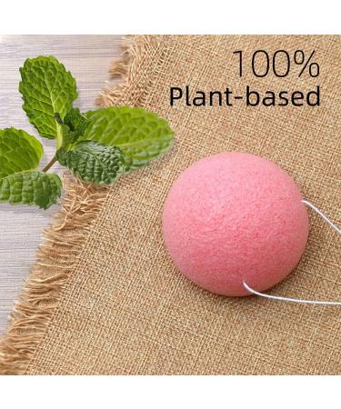 Buy Dolovemk Konjac Sponge 6-Pack | Bamboo Activated Carbon Reusable Face Sponge for Deep Cleaning & Peeling | Eco-Friendly Beauty Sponge in 6 Colors - Buy Online on GoSupps.com