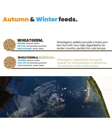 Koi carp 30% protein GROWER pond feed all natural pellets (Adult size) 10kg - Buy Online on GoSupps.com