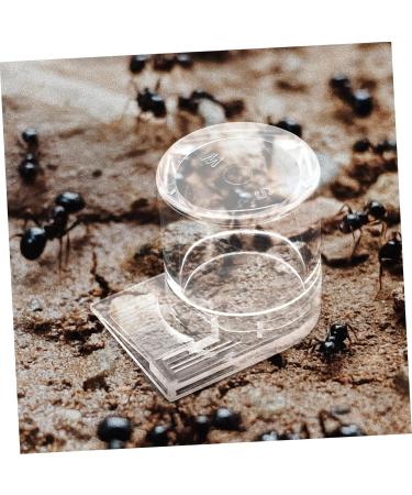 CORHAD Ants Waterer Pet Water Feeder Ant Nest Supplies Ant Cups Water for Ant Garden Ant Water Feeders Beehive Animal - Buy Online on GoSupps.com
