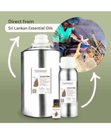 Cinnamon Oil - Premium Essential Oil from Sri Lanka | Bulk Aromatherapy Oils for Diffusers (8oz - Buy Online on GoSupps.com