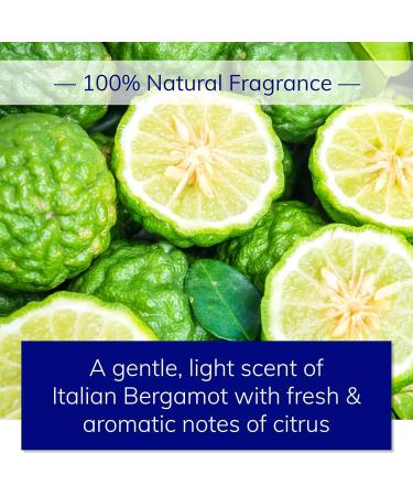 Buy Sulfate-Free Shampoo | Natural & Handcrafted | Remove Buildup Boost Volume & Shine | Color-Safe for All Hair Types | Italian Bergamot | Shop Now - Buy Online on GoSupps.com