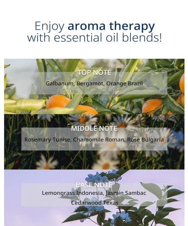 Art Fit Moisture Calming Mask Sheet - Korean Ceramide Hydrating Facial Mask for Dry Skin - Soothing & Replenishing - Aromatherapy Skincare - Pack of 5 - Buy Online on GoSupps.com