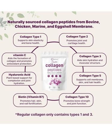 Micro Ingredients 8-in-1 Multi Collagen Powder & Oil of Oregano with Black Seed Oil Drops | Bundle | Hydrolyzed Peptides + Biotin Hyaluronic Acid & Vitamin C | Ultra High Thymoquinone + Carvacrol - Buy Online on GoSupps.com