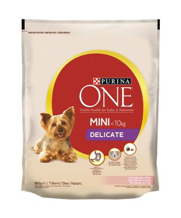 Purina ONE Mini Dog Food with Salmon and Rice, 800g