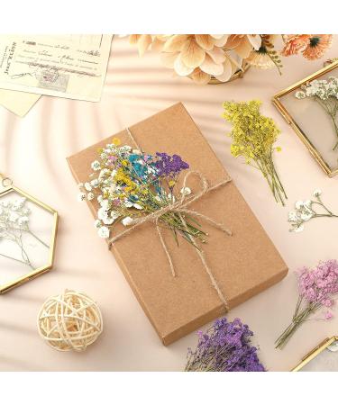 Dried Babys Breath Flowers - 100 Pcs Natural Gypsophila Branches for DIY Crafts and Gifts - Mixed Color Pressed Baby's Breath Flowers - Buy Online on GoSupps.com