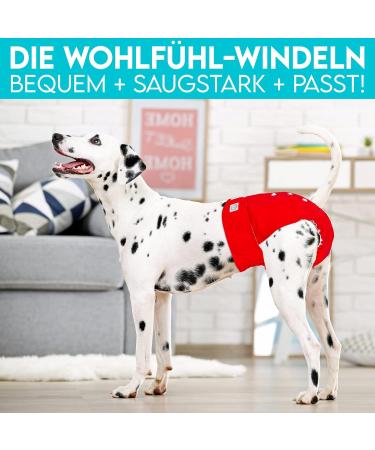 Dog is K nig Eco-Friendly Dog Diapers for Bitches - Adjustable Strong-Rigidity 3 pcs (Red/Blue/Green) XL (65-82cm) - Perfect for Heat & Incontinence - Buy Online on GoSupps.com