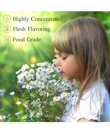 24 Pack Food Flavoring Oil for Baking, Cooking, Cosmetics - Lip Gloss & Soap Making Extract - .2 Fl Oz Bottles - Buy Online on GoSupps.com