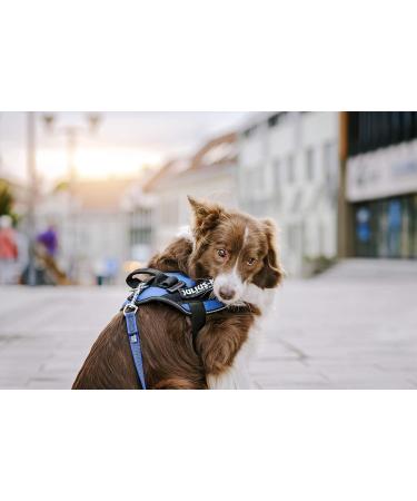 Interchangeable Patches 1 pair IN TRAINING Size: Small Black - Buy Online on GoSupps.com