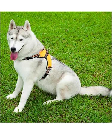 Tailup Adjustable Reflective Dog Harness for Small & Medium Dogs - Light Green Size M | Ideal for Puppies & Outdoor Adventures - Buy Online on GoSupps.com