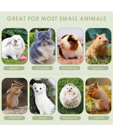 Erkoon 24-Piece Rabbit & Small Pet Toys Set | Dental Care Timothy Hay Sticks Carrots & Rose Grass Cake - Ideal for Rabbits Guinea Pigs Hamsters & Chinchillas - Buy Online on GoSupps.com