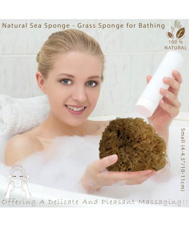 Natural Grass Sea Bath Sponge for Adults & Kids - Small Size (4-4.5 inches) | Shower & Bathing Sponge - Pack of 1 - Buy Online on GoSupps.com