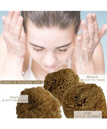 Natural Grass Sea Sponge for Bathing - Large Size | Shower Sponge for Adults and Children - Pack of 1 - Buy Online on GoSupps.com