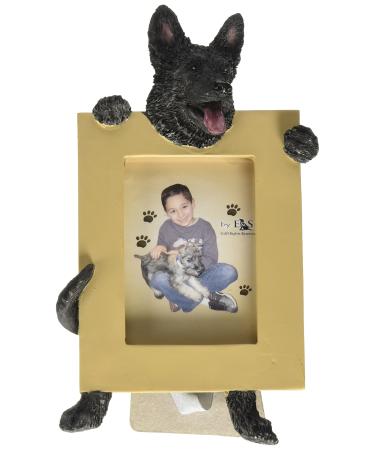 E&S Pets 35315-75b Small Dog Frame