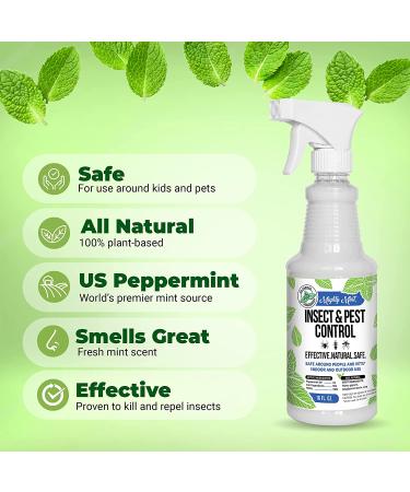 Mighty Mint 16oz Peppermint Oil Natural Spray for Spiders, Ants, and More | Insect and Pest Control - Buy Online on GoSupps.com
