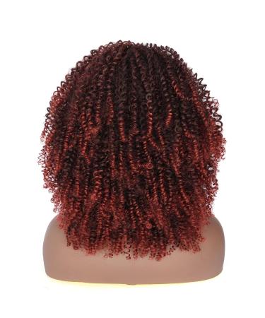 Shop Porsmeer Afro Wig for Women | Natural Full Fluffy Kinky Curly Bob Wig | 14 Inch Curly Synthetic Wig for Party & Daily Wear | Black Mix Copper Red - Buy Online on GoSupps.com