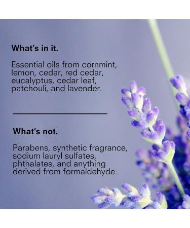 Public Goods Body & Hand Lotion for Women & Men | Natural Moisturizing Daily Lotion for Dry & Itchy Skin | Paraben & Sulfate Free | Made with Organic Essential Oils | Made in Canada | 12 Fl Oz Bottle 12 Fl Oz (Pack of 1) - Buy Online on GoSupps.com