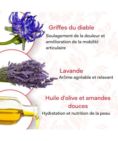 I Rimedi dei Monaci - pommade griffe du diable super concentr e l'arnica et au capsicum cr me hydratante apaisante l'arnica et la griffe du diable Blanc 500 ml (Lot de 1) - Buy Online on GoSupps.com