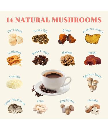 Mushroom Coconut Creamer with Instant Decaf Coffee 14 Mushrooms Ceylon Cinnamon Powder for Energy Foucs Immunity - Buy Online on GoSupps.com