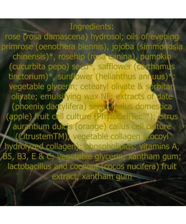 Shop Skin Lift Face Cream - Rejuvenate & Hydrate International Shipping Available - Buy Online on GoSupps.com