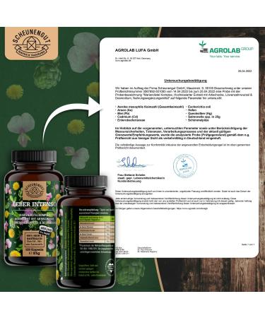 Liver Intenseo High-Dose Liver Complex - 120 pcs with 80% Silymarin Dandelion Artichoke & Cynarin - Lab Tested | Scheunengut International Shipping - Buy Online on GoSupps.com