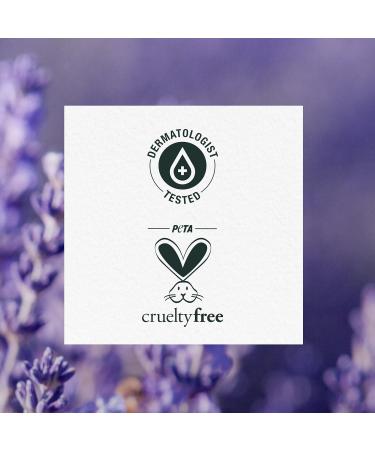 Buy Jojoba Oil & Lavender Curls Conditioner | Nourishing Hair Care for All Hair Types - International Shipping Available - Buy Online on GoSupps.com