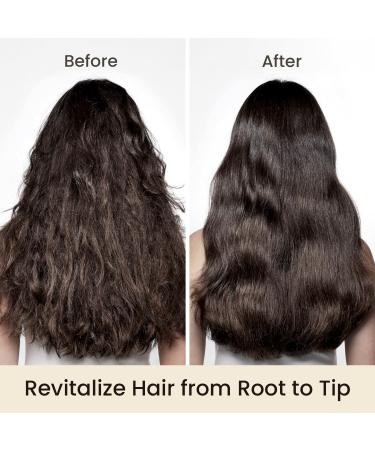 MOEHAIR Hair Mask - Hydrating Shea Butter & Olive Oil Treatment for Damaged Hair | Sulfate & Paraben-Free (12 Fl. Oz - Buy Online on GoSupps.com