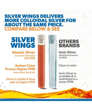 Natural Path Silver Wings Colloidal Silver Liquid - Enhanced Immune Support Supplement - 250ppm (1250mcg) - 32oz - Buy Online on GoSupps.com