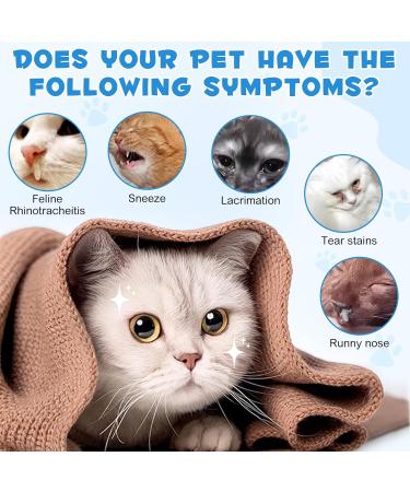 L-Lysine Supplement Drops for Cats - 60ML Liquid for Feline Health - L Lysine for Cats- Roast Chicken Flavor - Promotes Eye & Respiratory Function - Buy Online on GoSupps.com