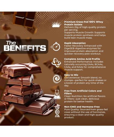 HOSSTILE ISO H1 Grass Fed Whey Protein Isolate with Digestive Enzymes Whey Protein Powder for Muscle Gain & Muscle Recovery Post Workout Recovery Drink Milk Chocolate 30 Servings Milk Chocolate 2.31 Pound (Pack of 1) - Buy Online on GoSupps.com