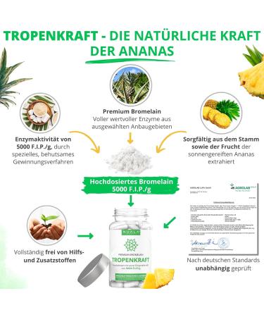 Bromelain 6000 F.I.P. - 120 Natural Capsules 600mg Each Gastric Juice Resistant No Additives - High Dose Supplement for Optimal Health - Buy Online on GoSupps.com