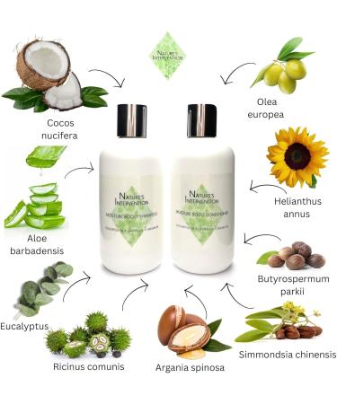 99% Natural - NOURISHING SHAMPOO - with CASTOR OIL ARGAN & EUCALYPTUS - 250 ml by NATURE'S INTERVENTION - Sulfate Free Paraben Free. Concentrated. pH Balanced Gentle Suitable for Sensitive Skin. - Buy Online on GoSupps.com