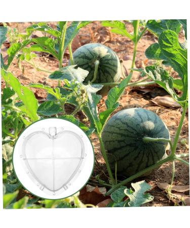 KICHOUSE Fruit Forming Mold Heart Shaped Watermelon Molds Vegetable Forming Machine Watermelon Growing Mold - Buy Online on GoSupps.com