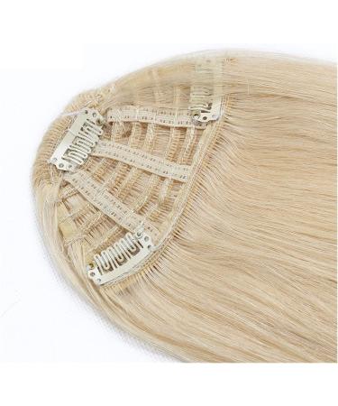 Clip in Fringe Clip in Bangs Clip In Bangs Human Hair Hair Pieces 20g 8 Inch-12inch Long Replacement Hair Wig (Size : Gradient bangs Color : #6) Gradient bangs #6 - Buy Online on GoSupps.com