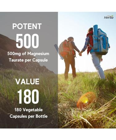 Herba Magnesium Taurate Supplement 500mg 180 Vegetable Capsules | Chelated with Taurine for Bioavailability | 40mg of Elemental Magnesium Per Capsules | Made in Canada - Buy Online on GoSupps.com