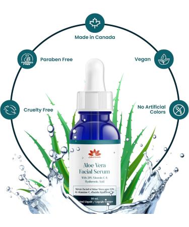 Natural Paradise 20% Vitamin C Face Serum - Anti-Aging Facial Serum With Hyaluronic Acid Aloe Vera & Green Tea 30ml Facial Serum Certified Ingredients Vitamin C Serum For Face - Made In Canada - Buy Online on GoSupps.com