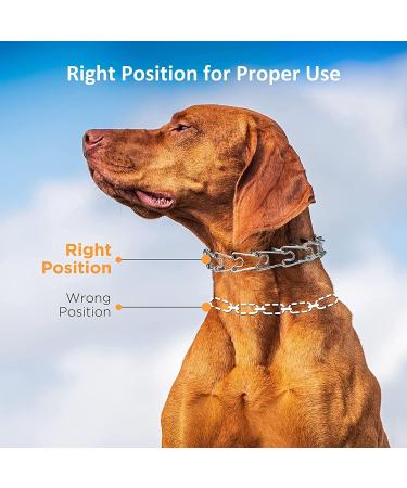 Dog Prong Collar Choke Collar for Dogs Pinch Training Collar Detachable Adjustable Choke Collar with Comfort Rubber Tips Metal Adjustable Large Middle Dog Pet Pinch Collar (A XL) A XL - Buy Online on GoSupps.com