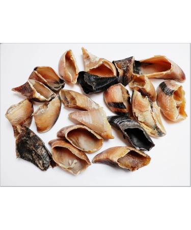 DriedDogTreats 10x Dried Cow Calves HOOVES Grade A - Empty Unfilled Hoof Pet Treat Chew Medium/Large Dogs 100% Natural Long Lasting Treats Snacks Chews