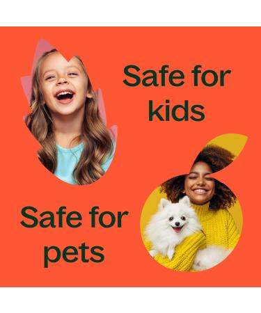 Plant Therapy Fantastic Franks Essential Oil Blend 10 mL (1/3 oz) 100% Pure Undiluted Therapeutic Grade Fantastic Franks 0.34 Fl Oz (Pack of 1) - Buy Online on GoSupps.com