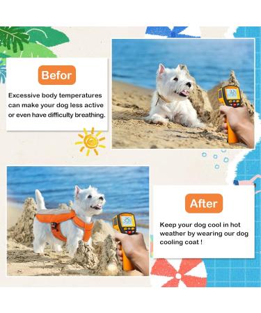 Hjumarayan Cooling Vest for Dogs - Breathable Summer Coat with D-Rings | Ideal Cooling Solution for Hot Days - Orange - Buy Online on GoSupps.com