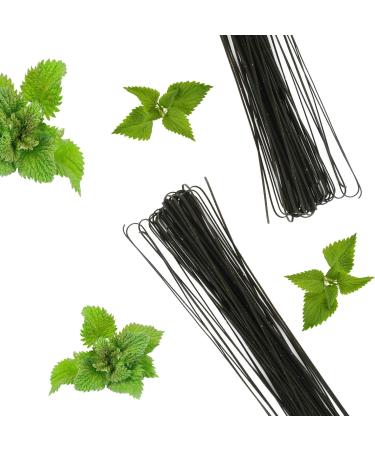  Ferrari Arrighetti Srl Antico Pastificio Morelli 1860 Srl Tagliolini brandnetel 8 packs of 250 g - Buy Online on GoSupps.com