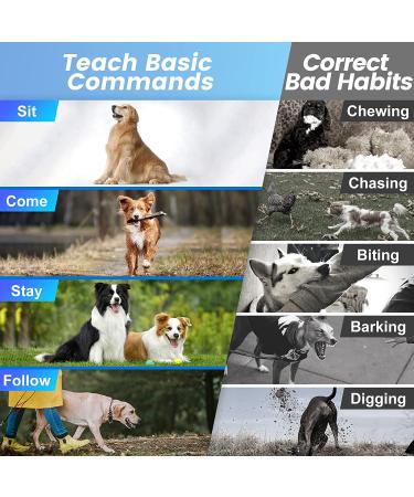 Slopehill Electronic Dog Training Collar - Remote Shock Collar in Green - Buy Online on GoSupps.com