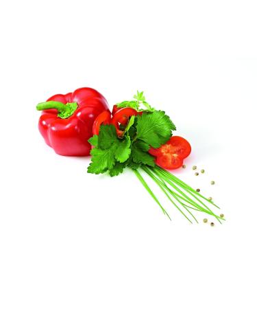 Buy Knorr Salad Coronation Paprika Herbs Dressing - 5 kg Pack | International Shipping Available - Buy Online on GoSupps.com