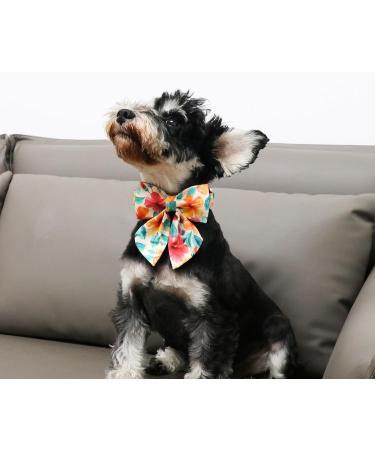 Unique Style Paws Colorful Flower Dog Collar | Adjustable Cotton Fly Collar for Boys & Girls | XS (20.3 30.5 cm) - Orange & Pink Flowers - Buy Online on GoSupps.com