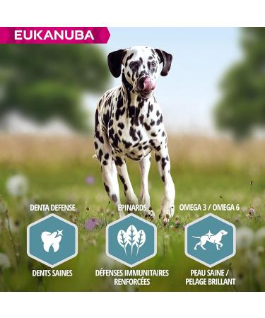Eukanuba Adult Dog Dry Food For Large Breed Salmon & Barley 2.5kg - Buy Online on GoSupps.com