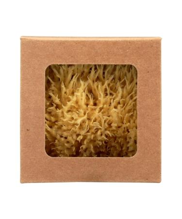 Wool Sponge Gift Box - 4.5 Inches | Eco-Friendly Gift for Any Occasion | International Shipping Available - Buy Online on GoSupps.com