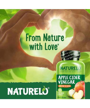 NATURELO Apple Cider Vinegar Capsules - Natural ACV with Mother Supplement for Men & Women for Detox Cleanse and Weight Management - 120 Vegan Capsules (Pack of 2) 120 Count (Pack of 2) - Buy Online on GoSupps.com