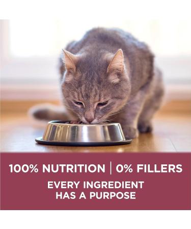 Purina ONE +Plus Senior Dry Cat Food Chicken - 1.8 kg Bag Pet Food - Buy Online on GoSupps.com