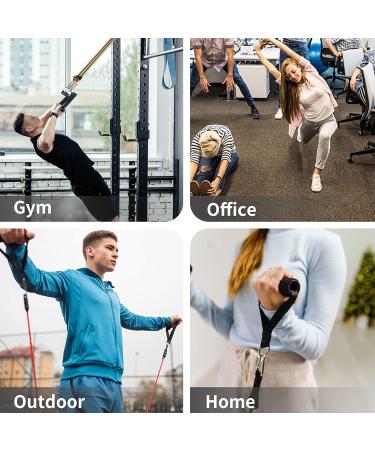 PROIRON Resistance Bands Set for Men and Women - Fitness Tubes with Handles for Home Gym Training - Buy Online on GoSupps.com