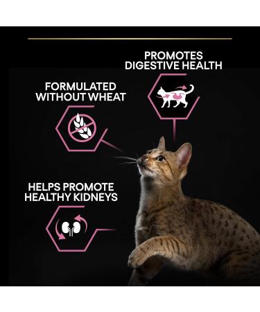 PRO PLAN Adult 1+ DELICATE DIGESTION Rich in Turkey Dry Cat Food 3kg - Buy Online on GoSupps.com