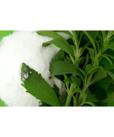 STEVIA Stevioside Powder 100g - 100% Pure Sweetener | SALZH US L | Pharmacy Quality International Shipping - Buy Online on GoSupps.com